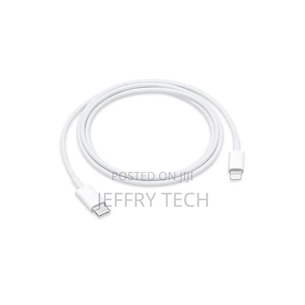 Generic Usb C to Lightning Cable for iPhone