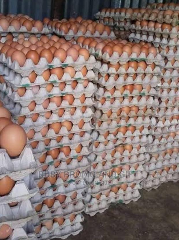 Farm Fresh Eggs - thumbnail 4