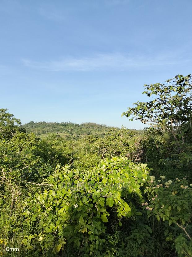 Farm Land in Shimbahills - thumbnail 4