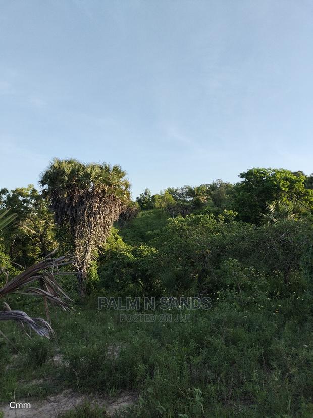 Farm Land in Shimbahills - thumbnail 5