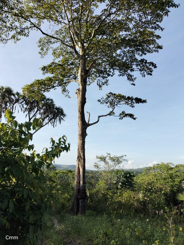 Farm Land in Shimbahills - thumbnail 6