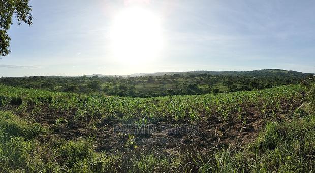Farm Land in Shimbahills - main view