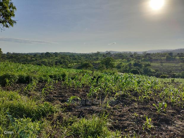 Farm Land in Shimbahills - thumbnail 7