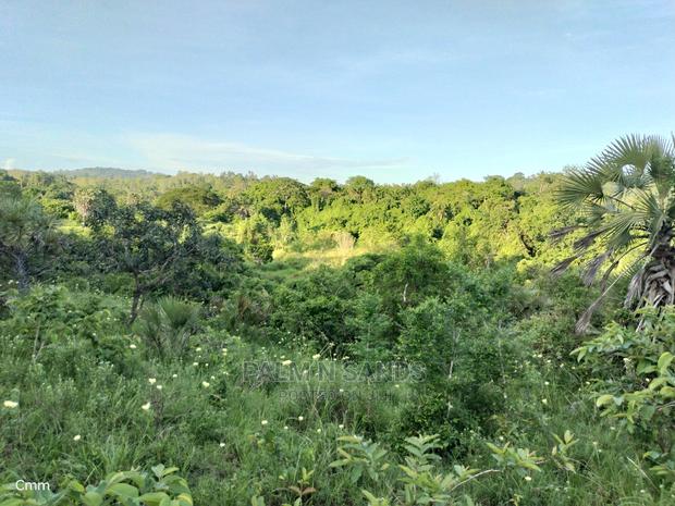 Farm Land in Shimbahills - thumbnail 8