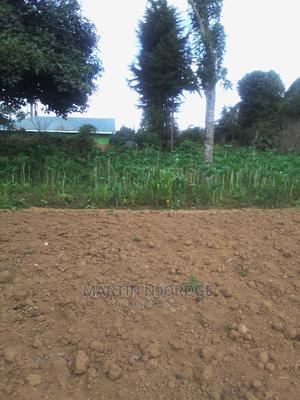 100 By 100 Plot Mwiciringiri, Naivasha - thumbnail 2