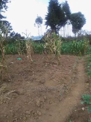 100 By 100 Plot Mwiciringiri, Naivasha