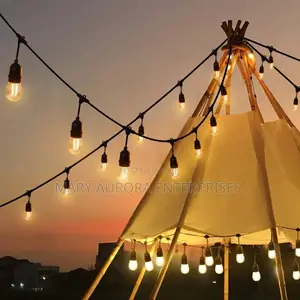 10 Meters String Lights and Bulbs