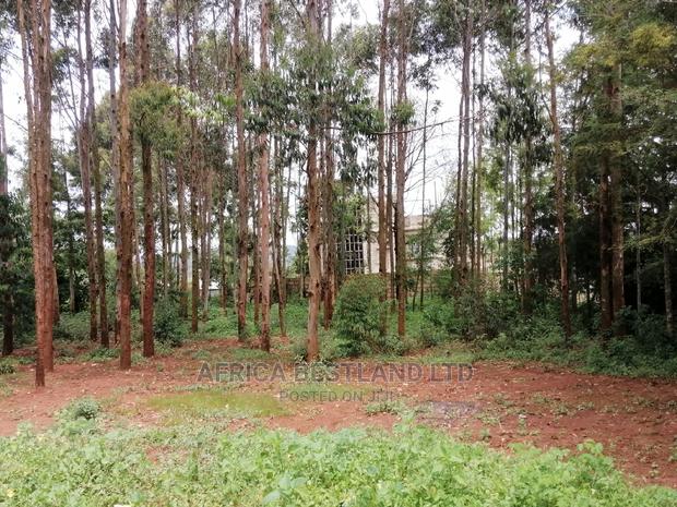 50x100 Ft Plot for Sale in Kikuyu Migumoini - thumbnail 3