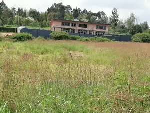 50x100 Ft Plot for Sale in Kikuyu Migumoini