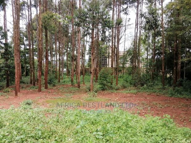 50x100 Ft Plot for Sale in Kikuyu Migumoini - thumbnail 5