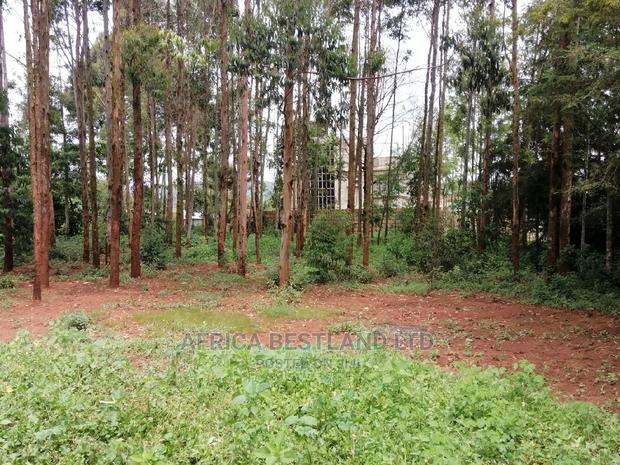50x100 Ft Plot for Sale in Kikuyu Migumoini - thumbnail 6