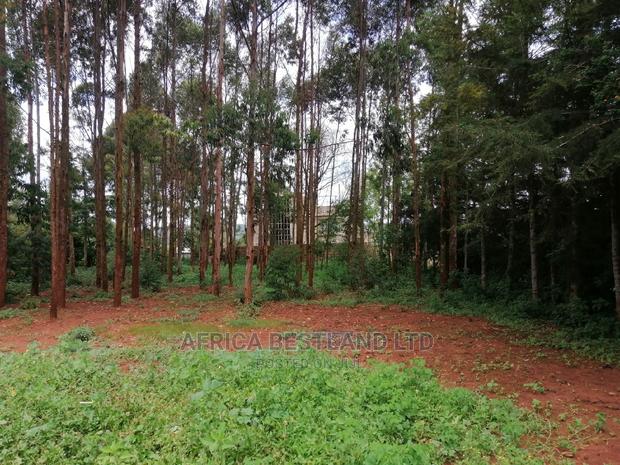 50x100 Ft Plot for Sale in Kikuyu Migumoini - thumbnail 7