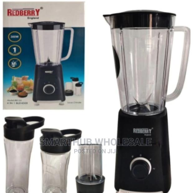 4 in 1 Redberry Blender  - main view