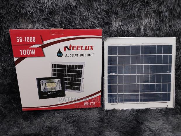 Neelux 100w Solar Flood Ligh