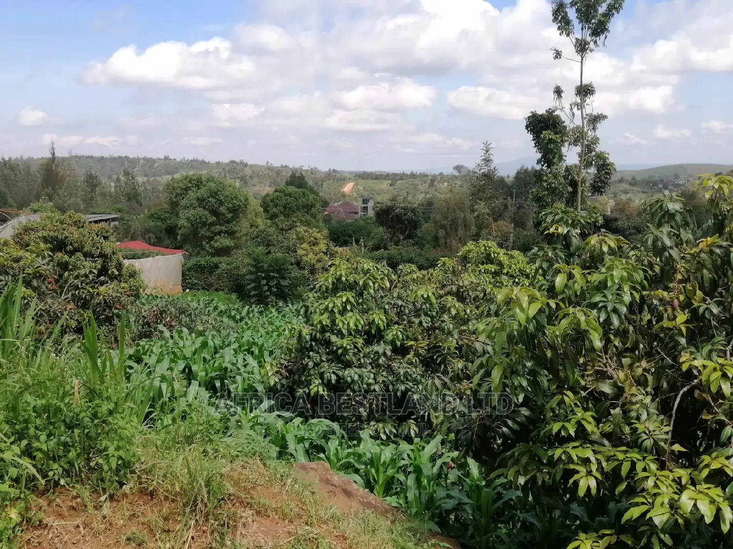 Residential 50x100 Ft Plot for Sale in Thigio Nguirubi