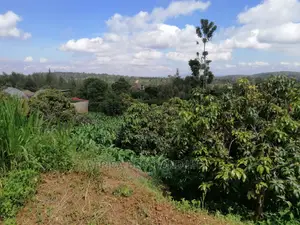 Residential 50x100 Ft Plot for Sale in Thigio Nguirubi