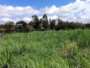Residential 50x100 Ft Plot for Sale in Thigio Nguirubi