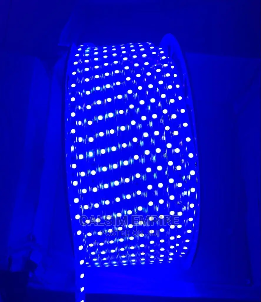 100mtrs Snake Light in Nairobi Central Home Accessories, Calsim