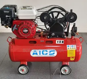 Aico Japan 100 Litres Double Piston