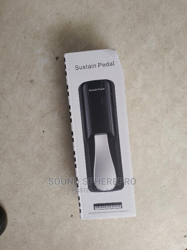 Sustain Pedal - thumbnail 2
