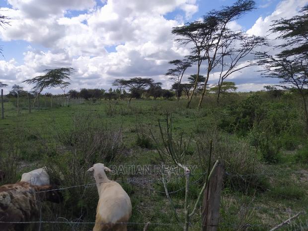 1/8th Acre Plots at Kitengela Near Kag College - thumbnail 15