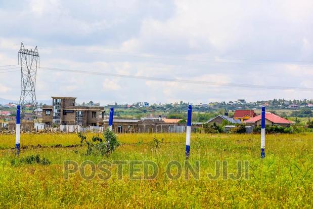 Jenga Malaa^Jm - main view