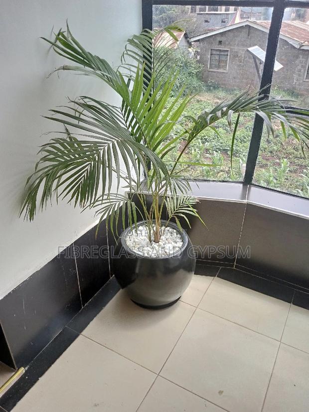 Round 33 Fibre Pot Complete With Palm Plant