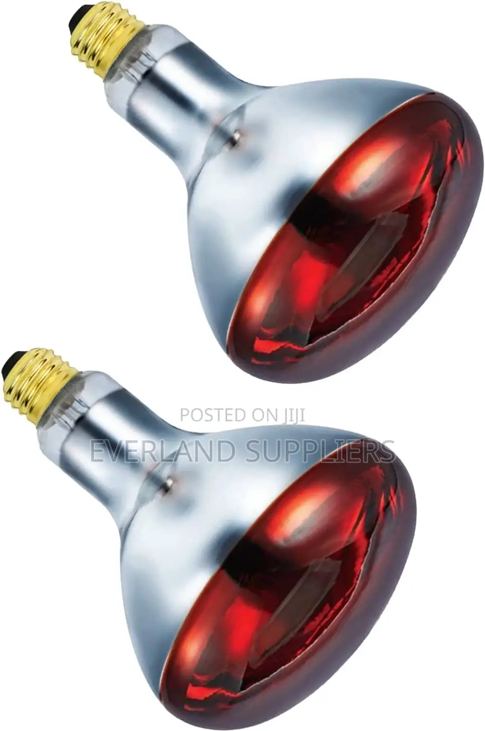 Infrared Brooding Bulb
