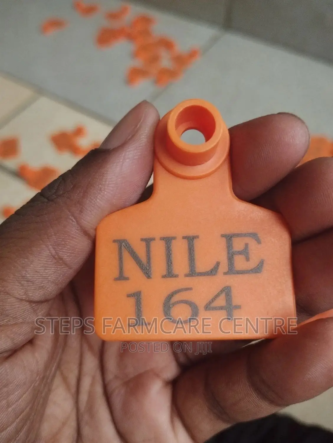 Cows Customized Ear Tags
