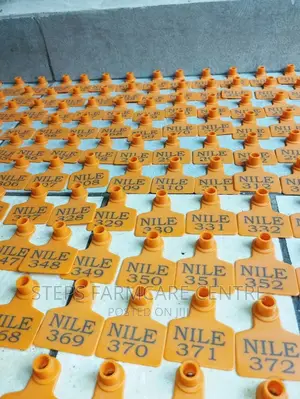 Cows Customized Ear Tags