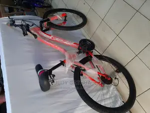 Teenager Bike