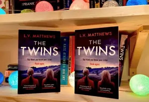 The Twins Book by L.V. Matthews