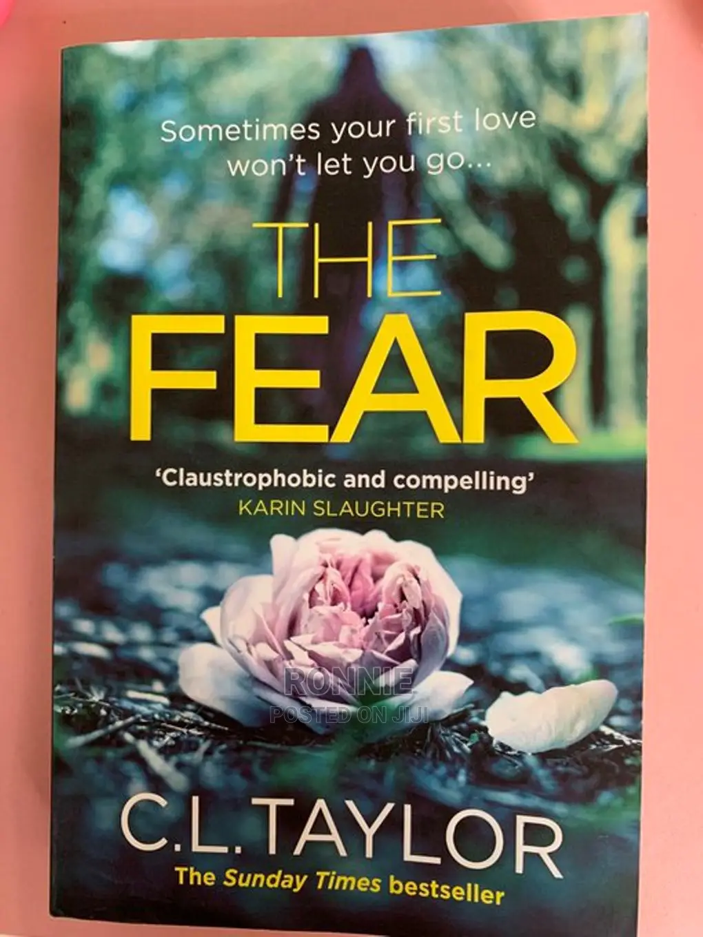 The Fear Book by C.L. Taylor