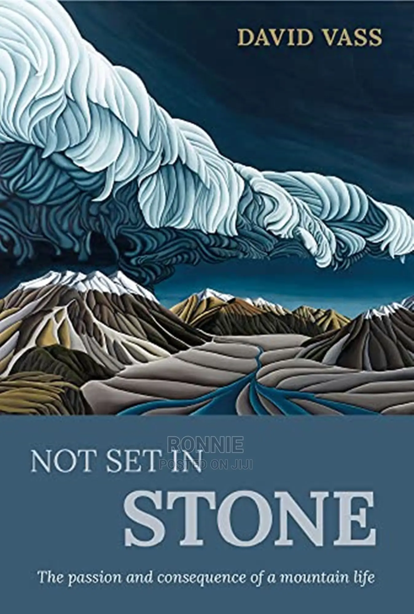 Not Set in Stone Book by David Vass