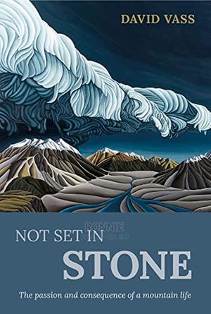Not Set in Stone Book by David Vass - main view