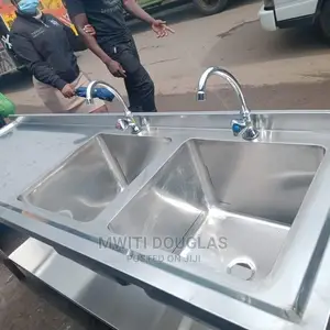 Shiny Double Bowl Sink