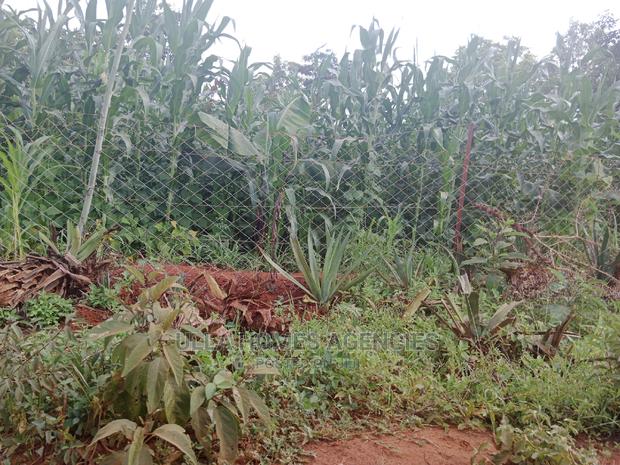 50 by 100 Plot at Mumbuni,Kwa Musyoka, Machakos Town
