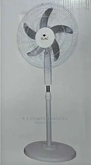 Five Blade Best Quality Stand Fan