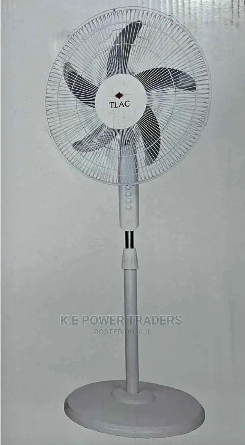 Five Blade Best Quality Stand Fan