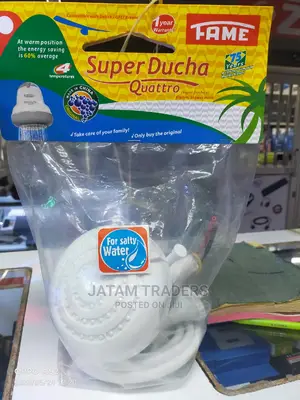 Electric Shower Head