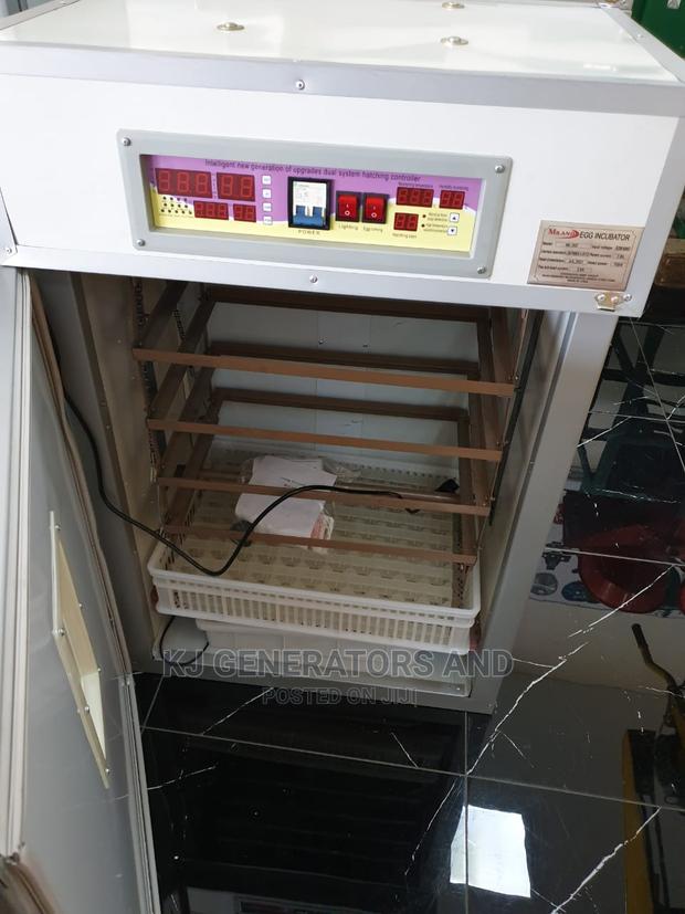 ML1056 Eggs Incubators - thumbnail 2