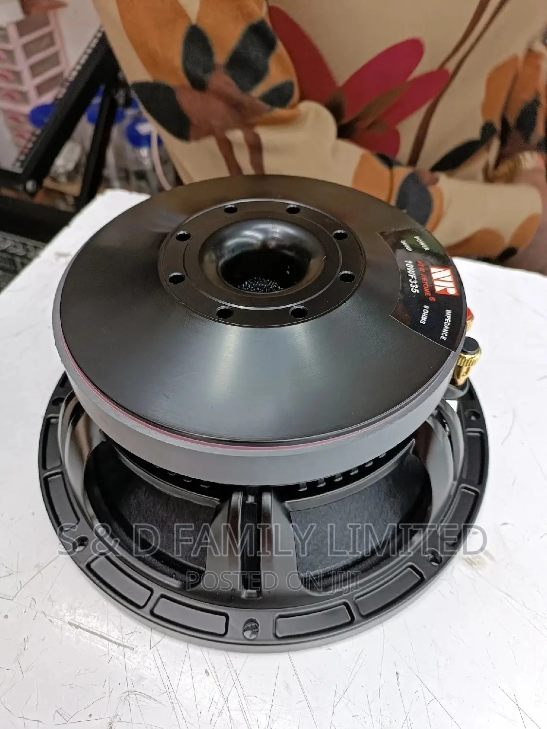 NR 10 Inch Naked Speaker