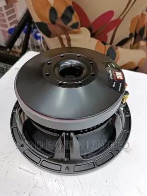 NR 10 Inch Naked Speaker