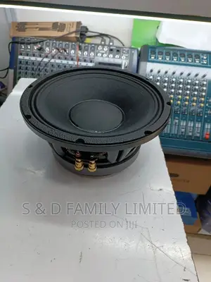 NR 10 Inch Naked Speaker