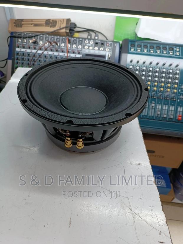 NR 10 Inch Naked Speaker - thumbnail 2