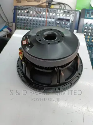 NR 10 Inch Naked Speaker