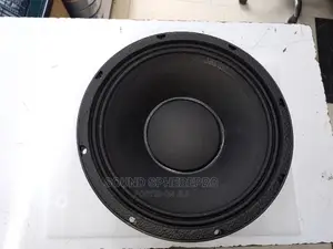 New Retone 10inch Speaker