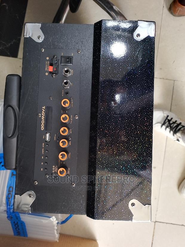 Tagwood 10 Inch Portable Speaker - thumbnail 3