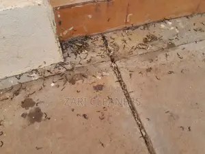 Caterpillar Worms Fumigation Services