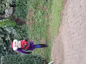 Caterpillar Worms Fumigation Services